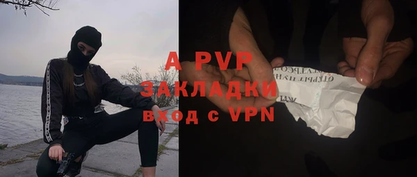 шишки Володарск
